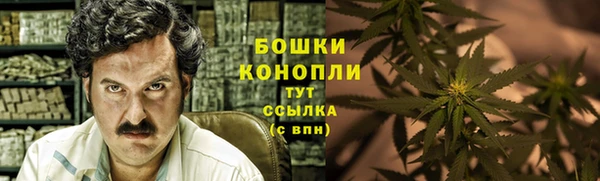 ПСИЛОЦИБИНОВЫЕ ГРИБЫ Абдулино