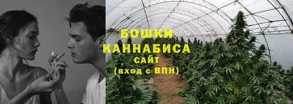 трава Алзамай