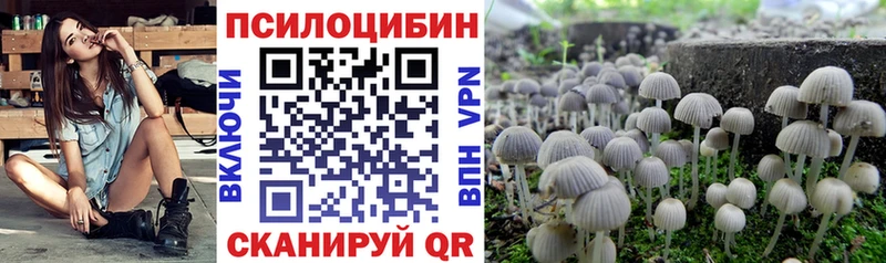 где продают   Полтавская  Галлюциногенные грибы Psilocybe 